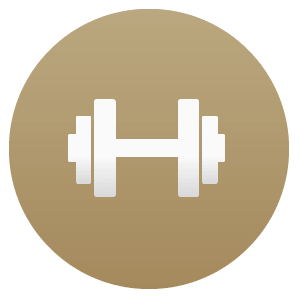 Gym Voyage logo for Stripe